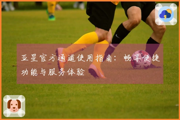 亚星官方通道使用指南：畅享便捷功能与服务体验