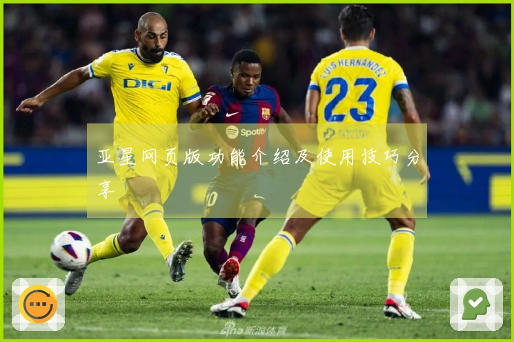 亚星网页版功能介绍及使用技巧分享