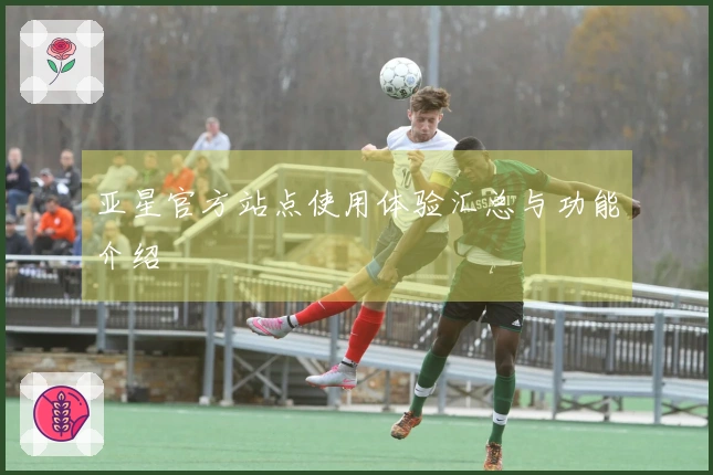 亚星官方站点使用体验汇总与功能介绍